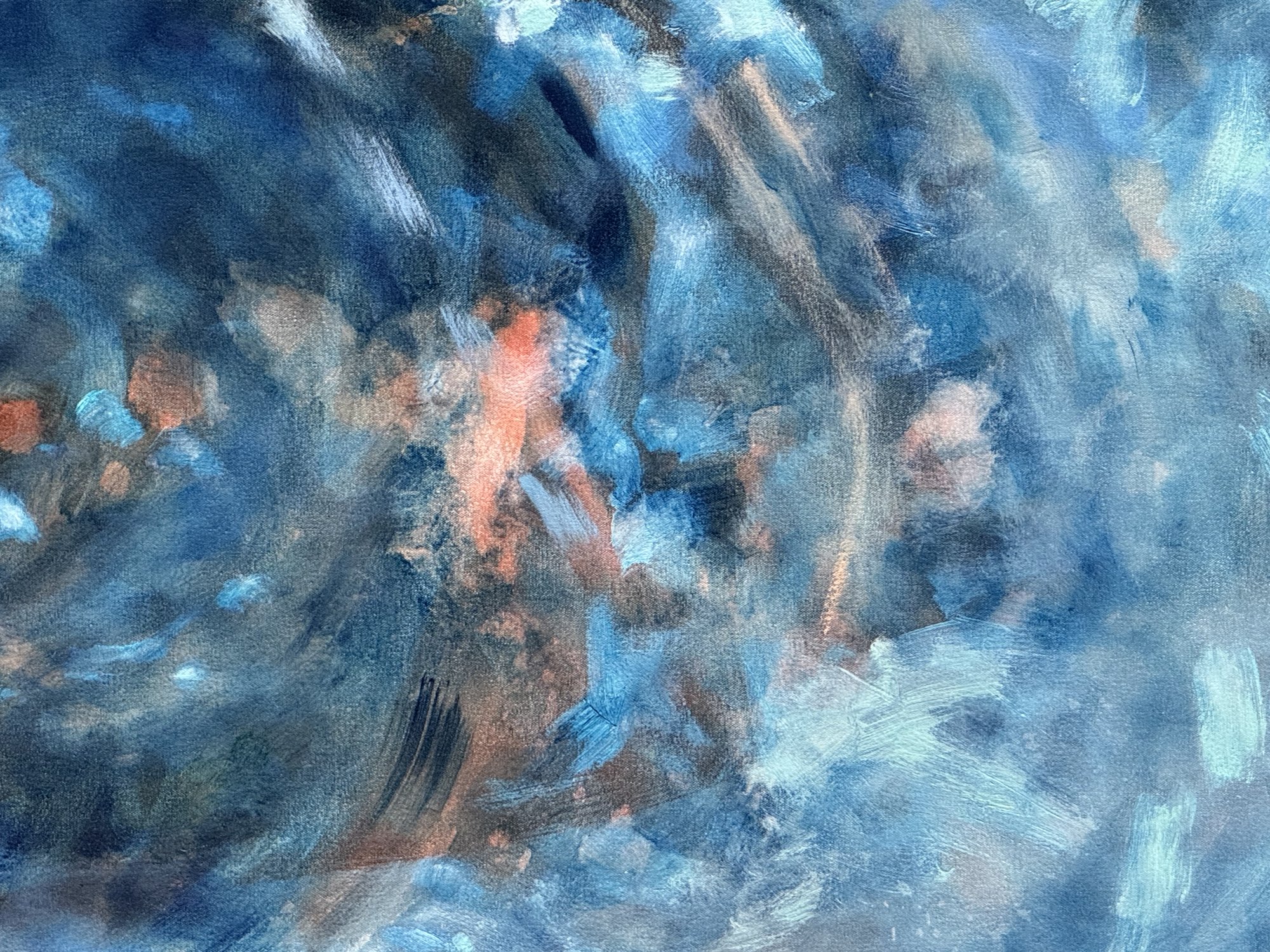 Pond Disturbed